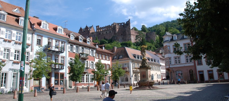 Mittelspitz Aragon von der Roßsteige zu Besuch in Heidelberg 05