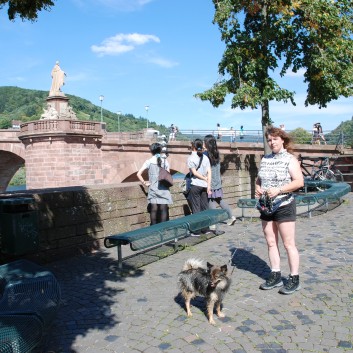 Mittelspitz Aragon von der Roßsteige zu Besuch in Heidelberg 14